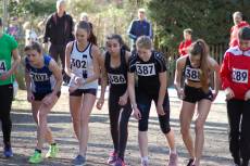 Wörner, Ebert, Schwarz, Tortell – vier Titel für den TVR