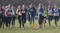 Rendeler Läufer eilen weiter von Erfolg zu Erfolg