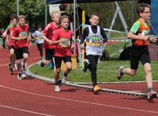 Toller Erfolg für Piet (Mitte)