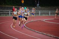 Überlegenheitsdemonstration von Lara